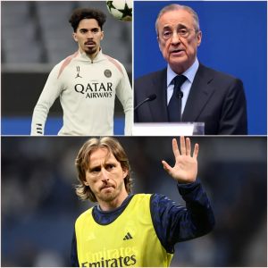 Earthquake at Real Madrid! Vitinha becomes the top priority, Modric neglected? PSG imposes a shock price of €90 million
